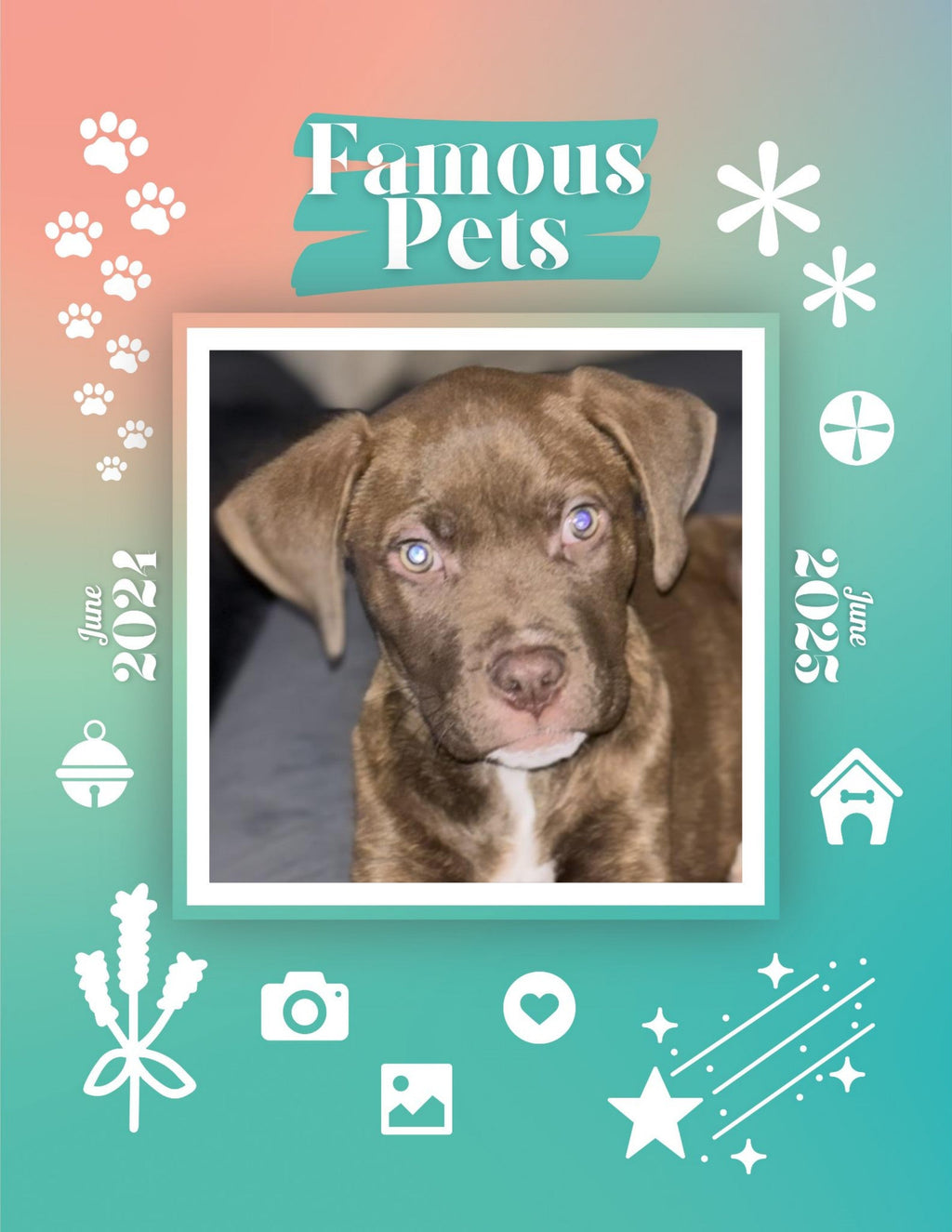 Famous Pets: June 2024-June 2025 Wall Calendar (Pre-Order)