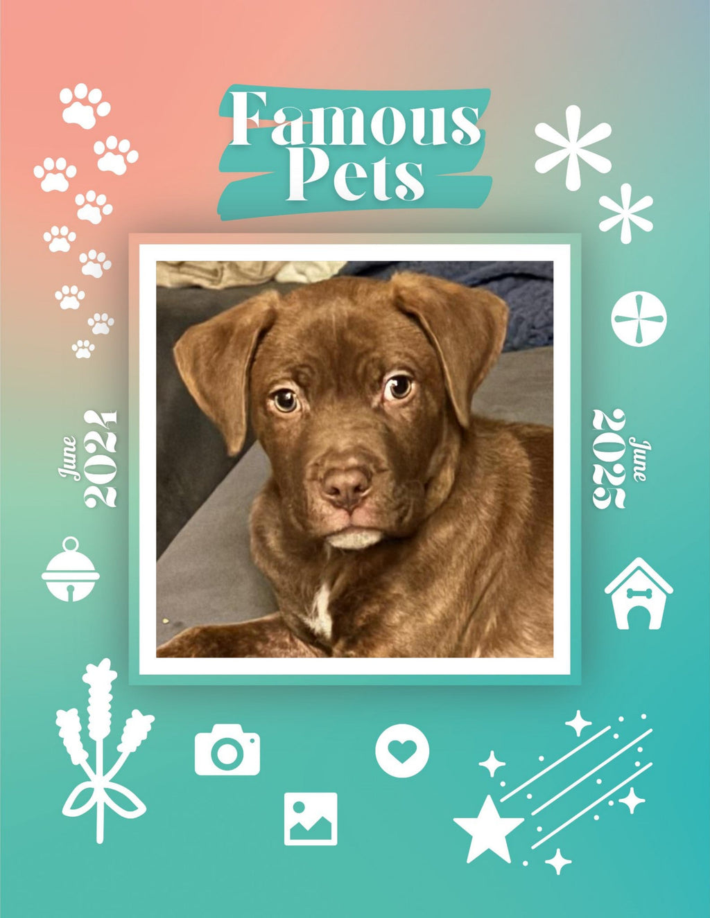 Famous Pets: June 2024-June 2025 Wall Calendar (Pre-Order)
