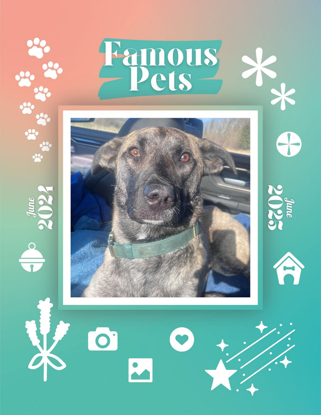 Famous Pets: June 2024-June 2025 Wall Calendar (Pre-Order)
