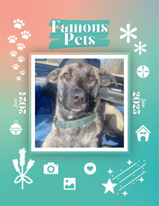 Famous Pets: June 2024-June 2025 Wall Calendar (Pre-Order)