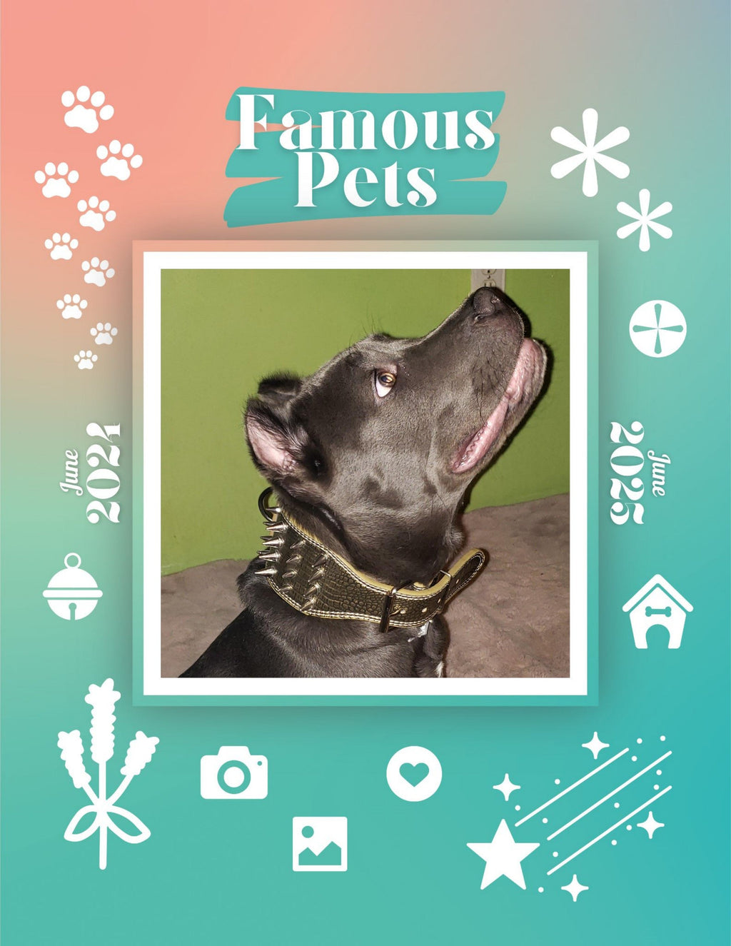 Famous Pets: June 2024-June 2025 Wall Calendar (Pre-Order)