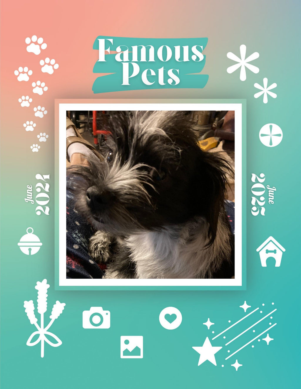 Famous Pets: June 2024-June 2025 Wall Calendar (Pre-Order)