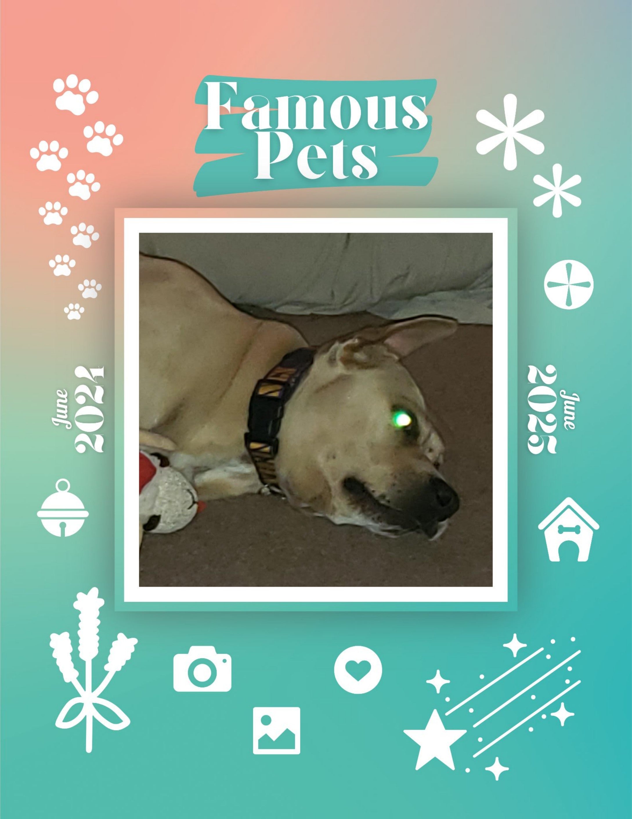 Famous Pets: June 2024-June 2025 Wall Calendar (Pre-Order)