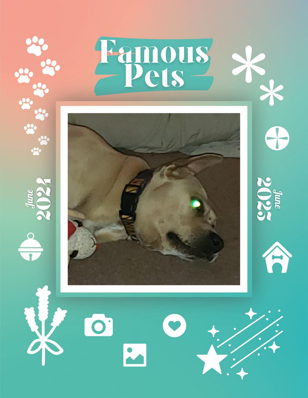 Famous Pets: June 2024-June 2025 Wall Calendar (Pre-Order)
