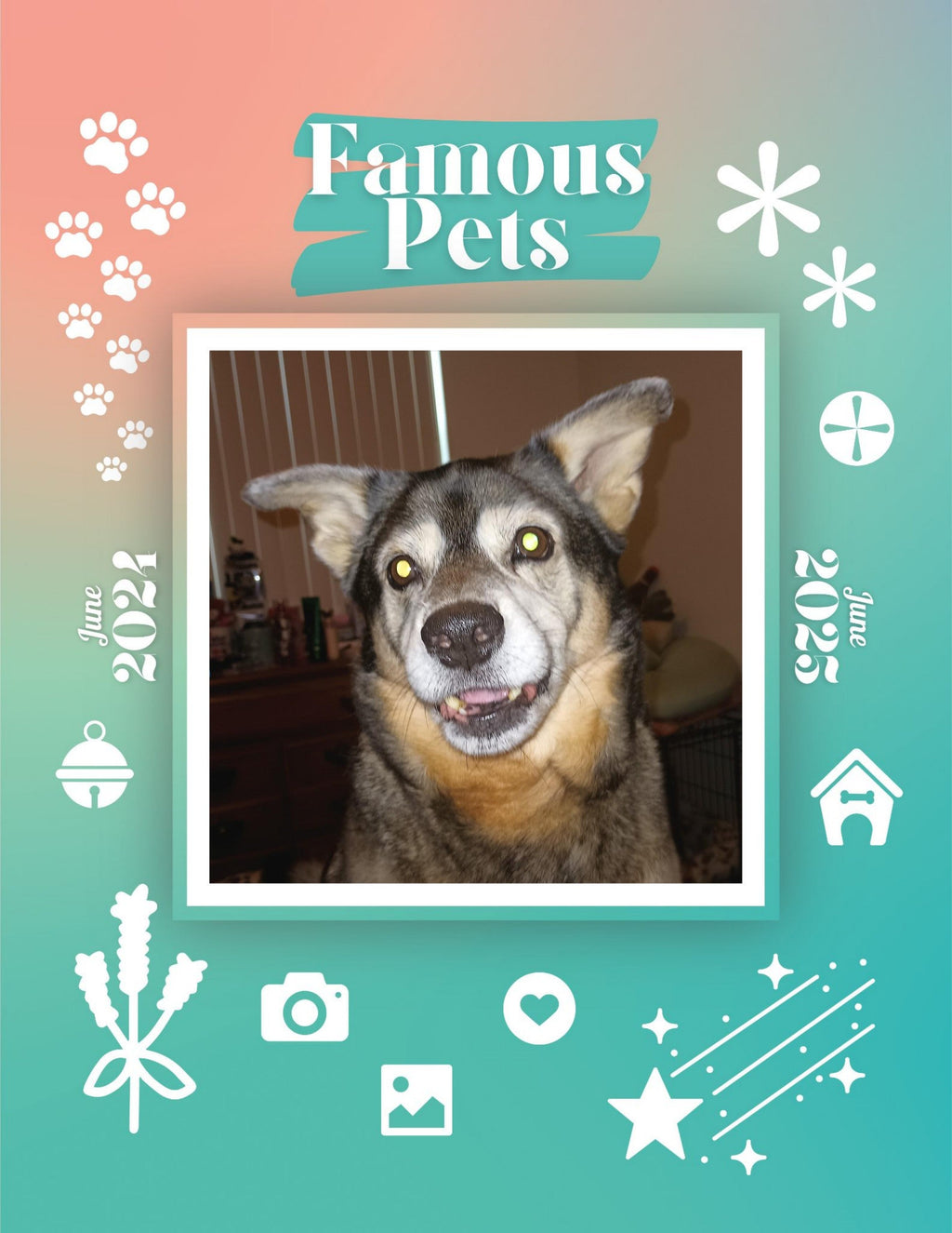 Famous Pets: June 2024-June 2025 Wall Calendar (Pre-Order)