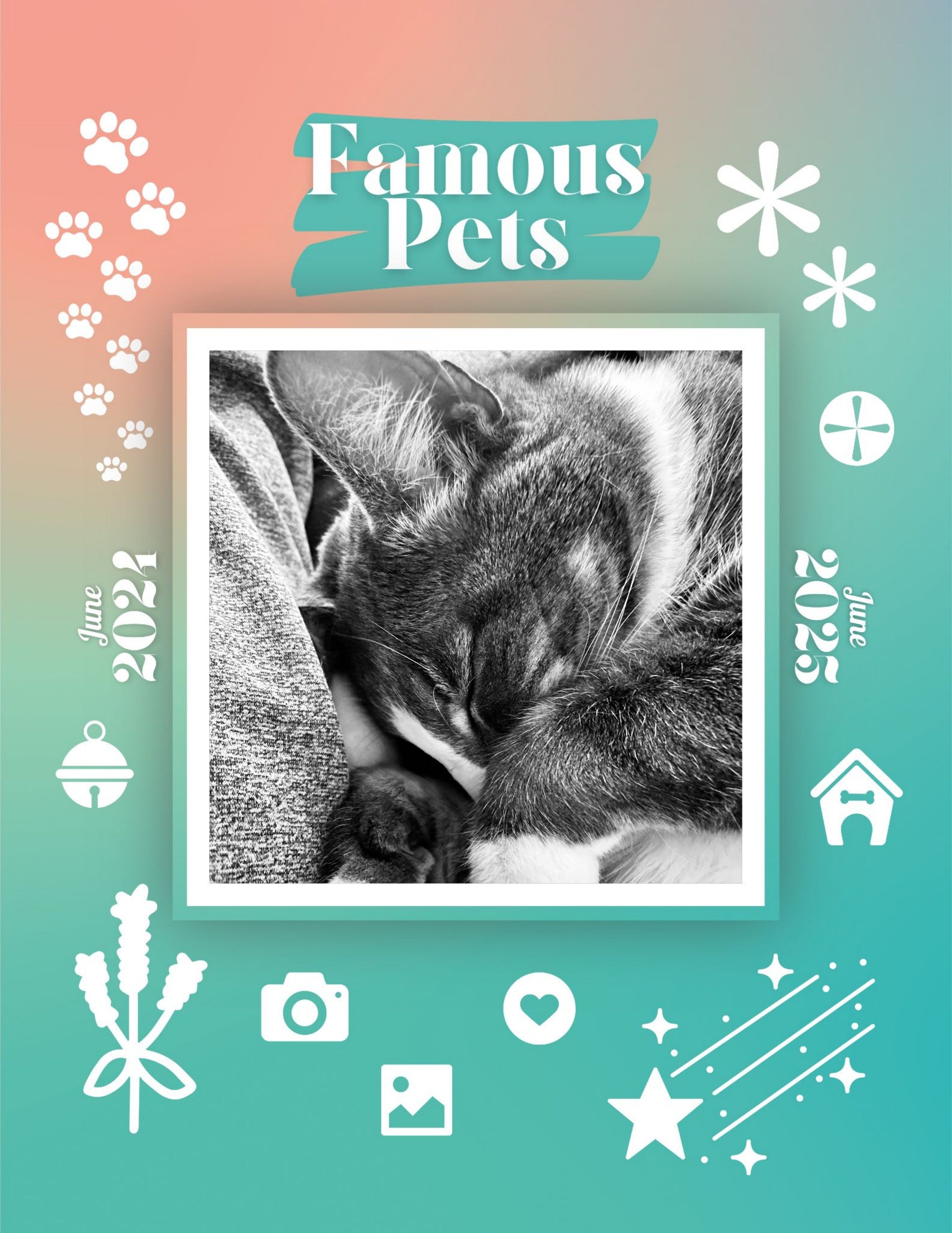Famous Pets: June 2024-June 2025 Wall Calendar (Pre-Order)