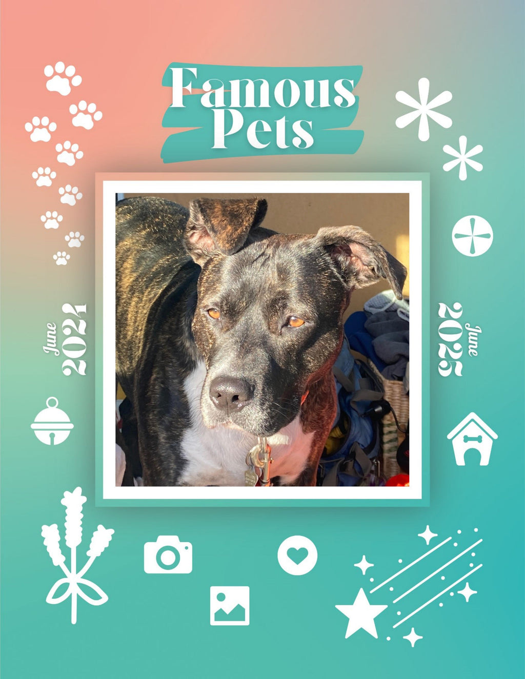 Famous Pets: June 2024-June 2025 Wall Calendar (Pre-Order)