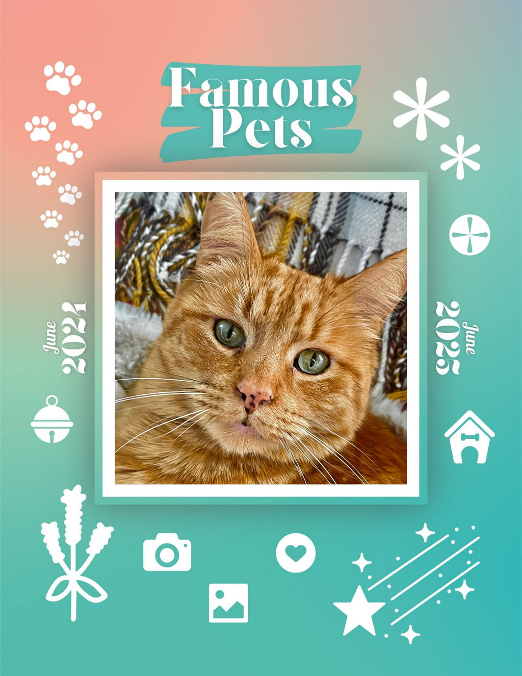 Famous Pets: June 2024-June 2025 Wall Calendar (Pre-Order)