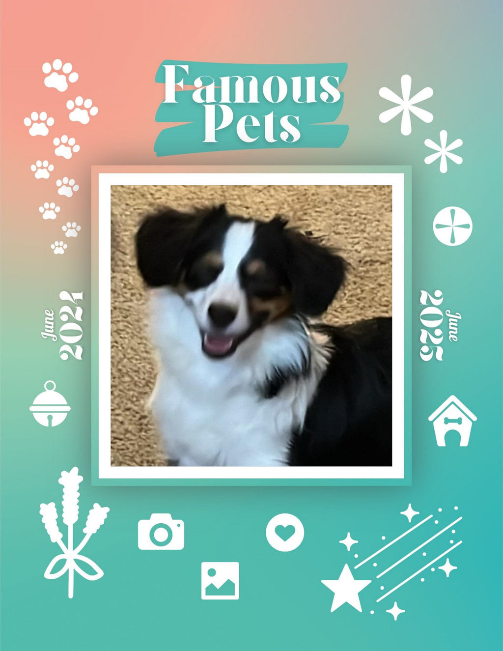 Famous Pets: June 2024-June 2025 Wall Calendar (Pre-Order)