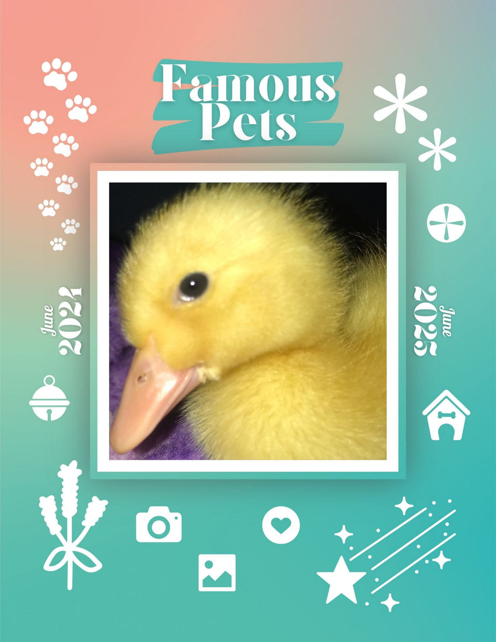 Famous Pets: June 2024-June 2025 Wall Calendar (Pre-Order)