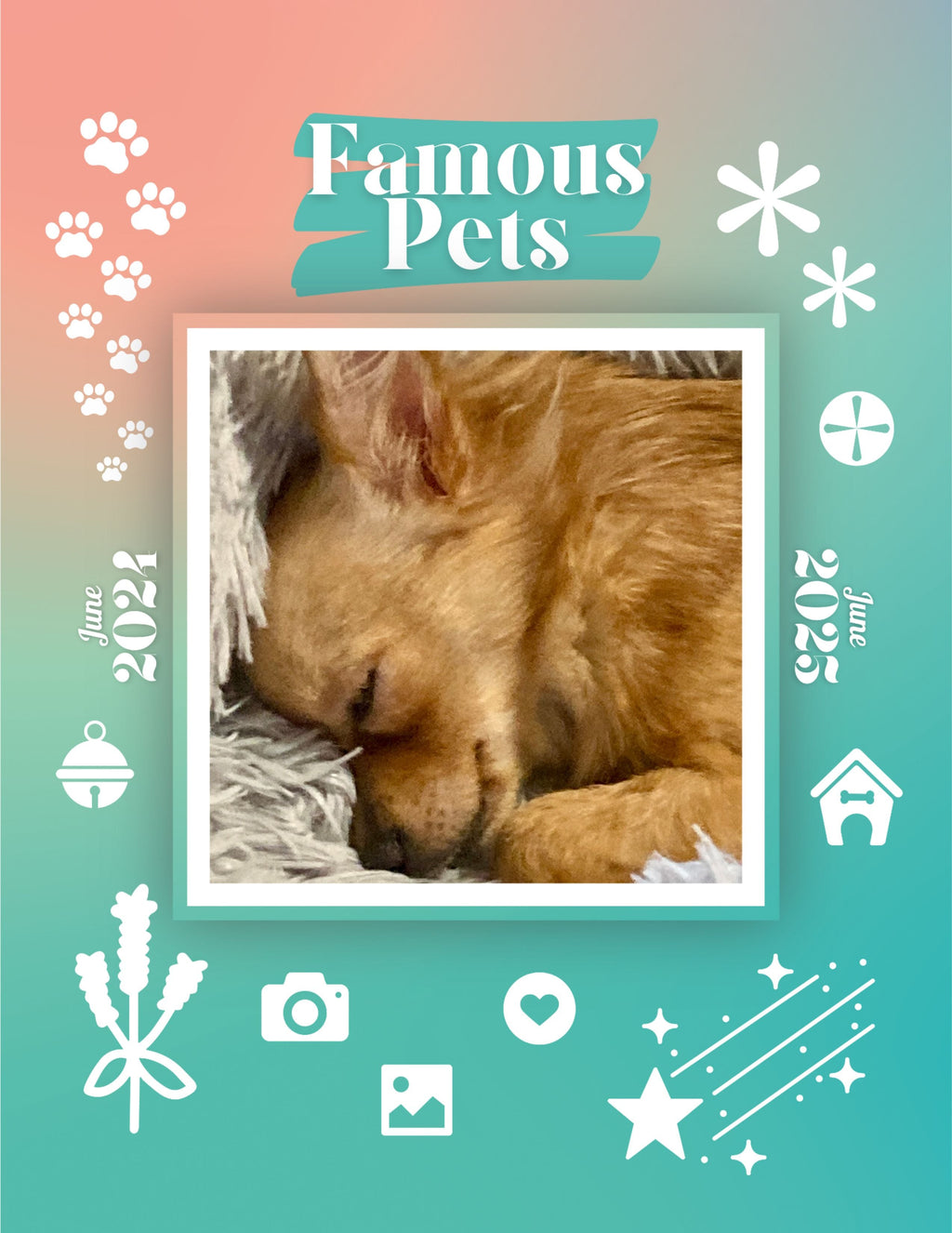 Famous Pets: June 2024-June 2025 Wall Calendar (Pre-Order)