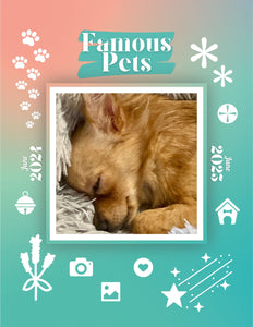 Famous Pets: June 2024-June 2025 Wall Calendar (Pre-Order)