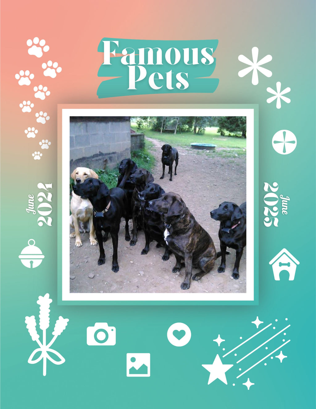 Famous Pets: June 2024-June 2025 Wall Calendar (Pre-Order)