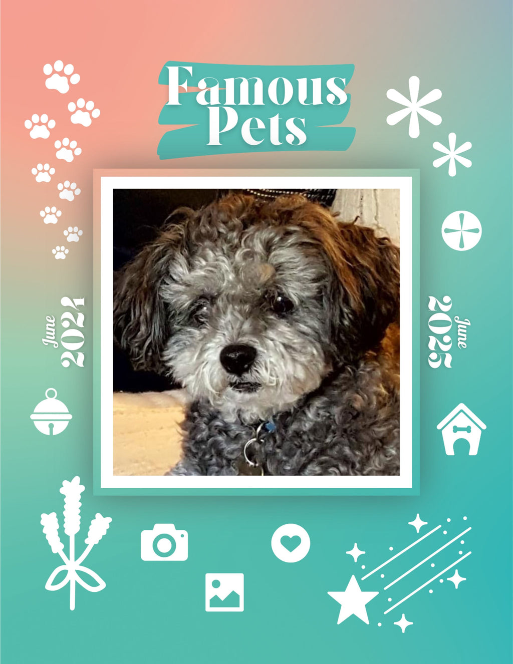 Famous Pets: June 2024-June 2025 Wall Calendar (Pre-Order)