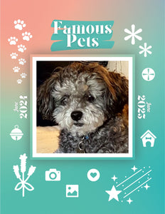 Famous Pets: June 2024-June 2025 Wall Calendar (Pre-Order)