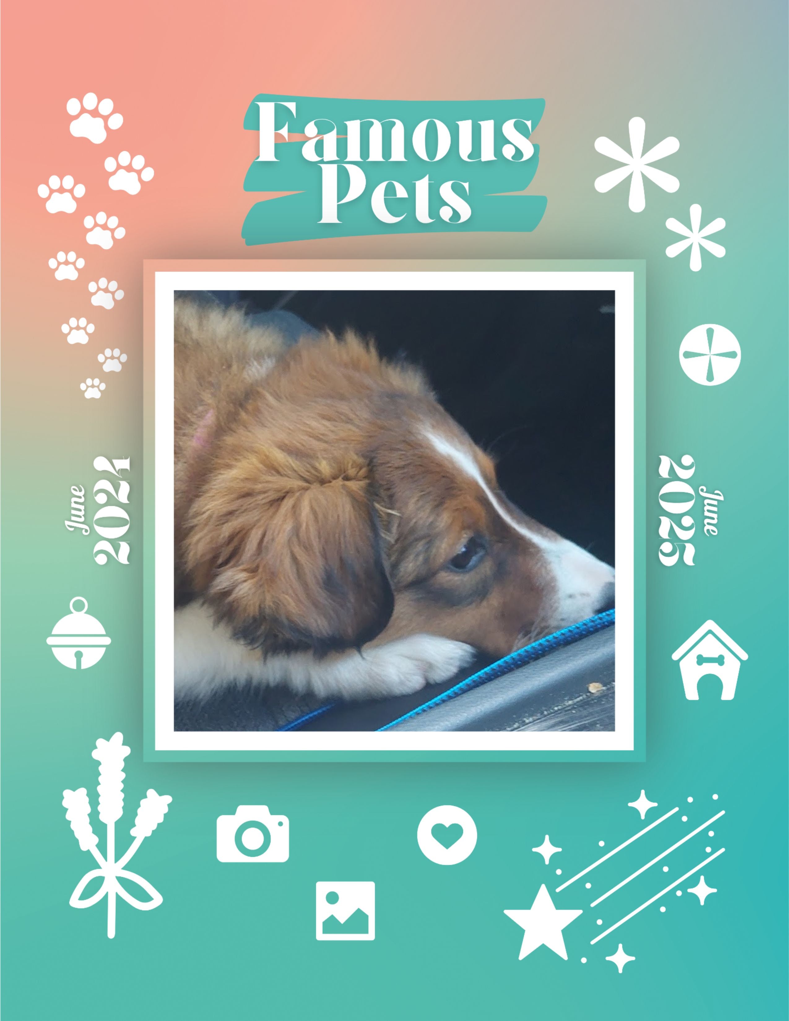 Famous Pets: June 2024-June 2025 Wall Calendar (Pre-Order)