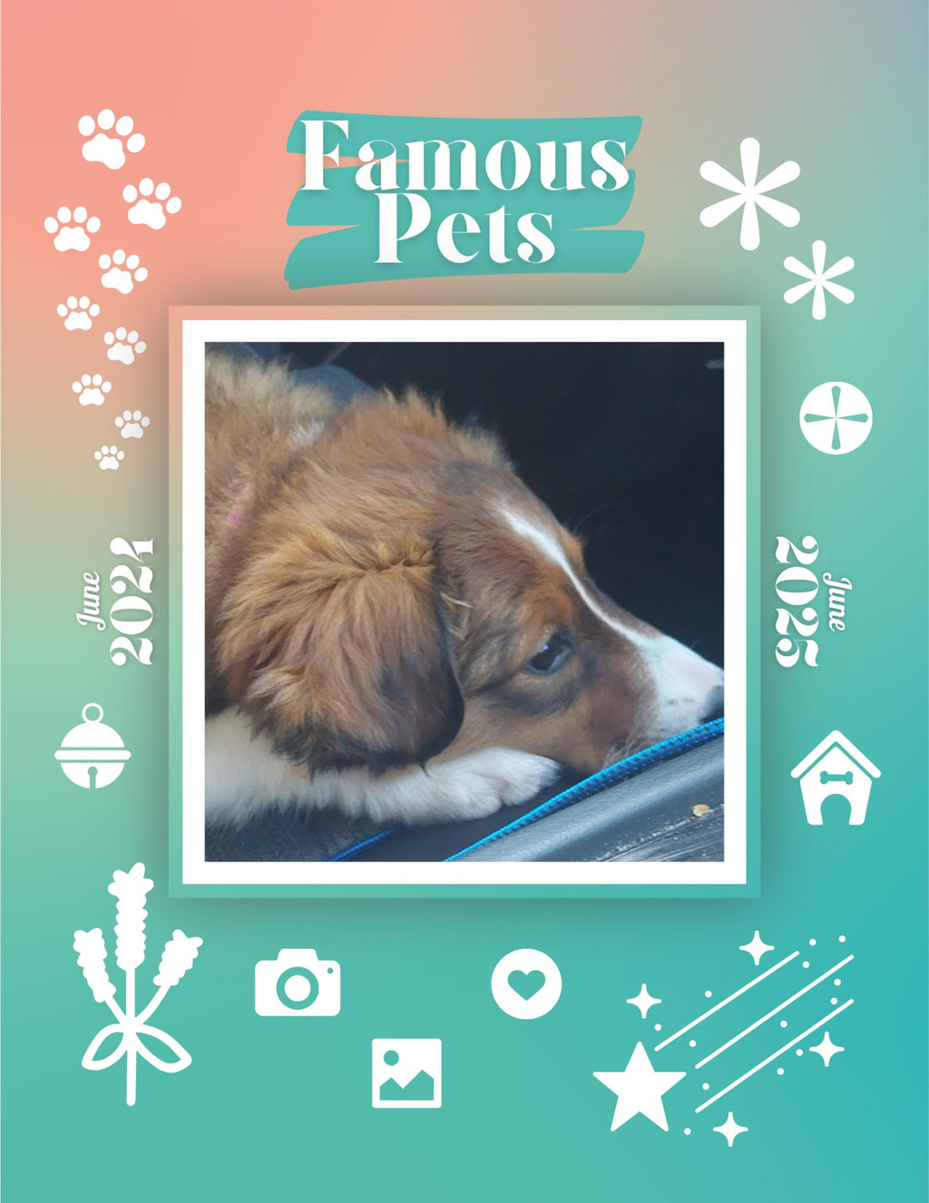 Famous Pets: June 2024-June 2025 Wall Calendar (Pre-Order)