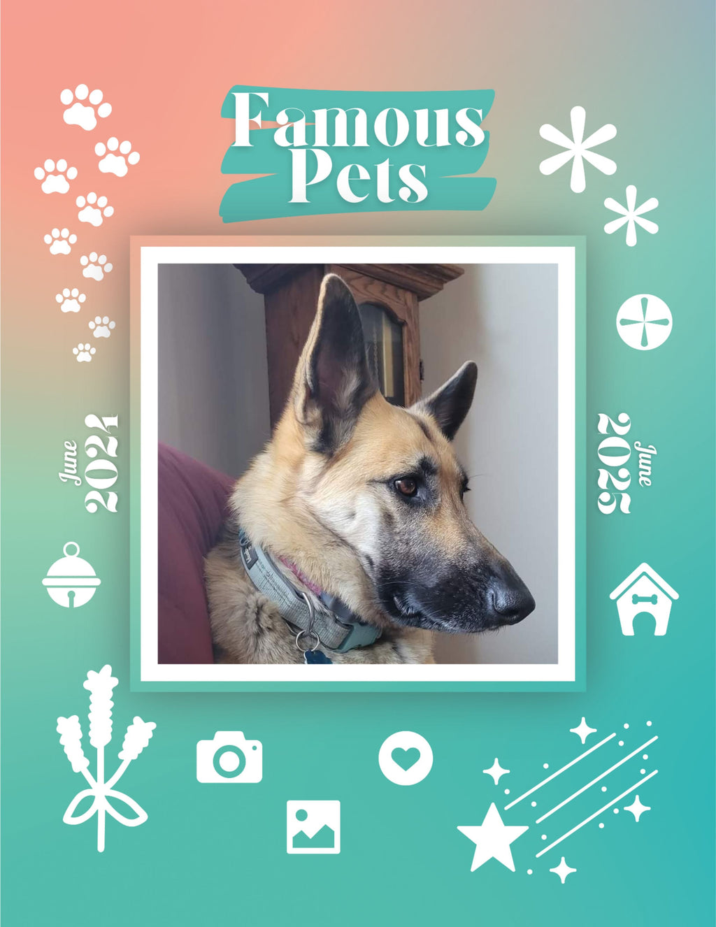 Famous Pets: June 2024-June 2025 Wall Calendar (Pre-Order)