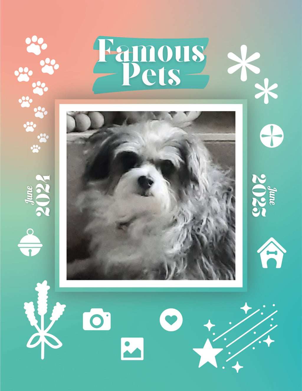 Famous Pets: June 2024-June 2025 Wall Calendar (Pre-Order)