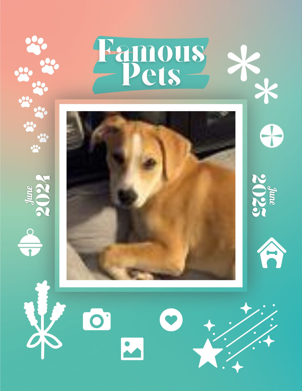 Famous Pets: June 2024-June 2025 Wall Calendar (Pre-Order)