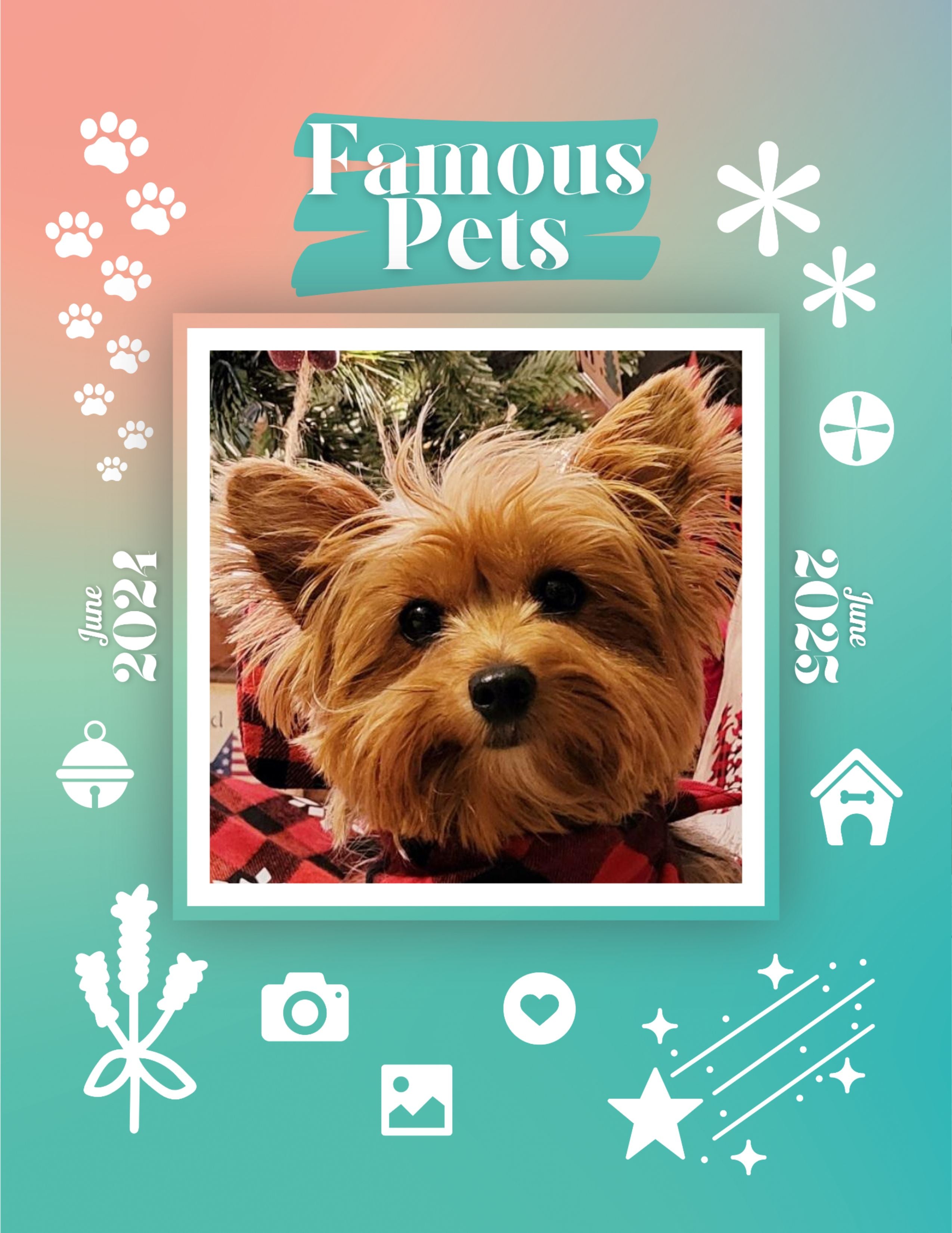 Famous Pets: June 2024-June 2025 Wall Calendar (Pre-Order)