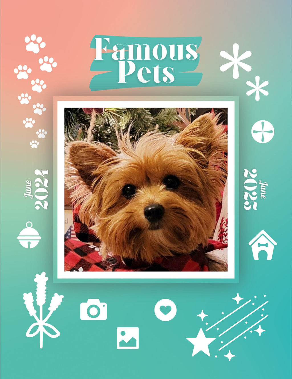 Famous Pets: June 2024-June 2025 Wall Calendar (Pre-Order)