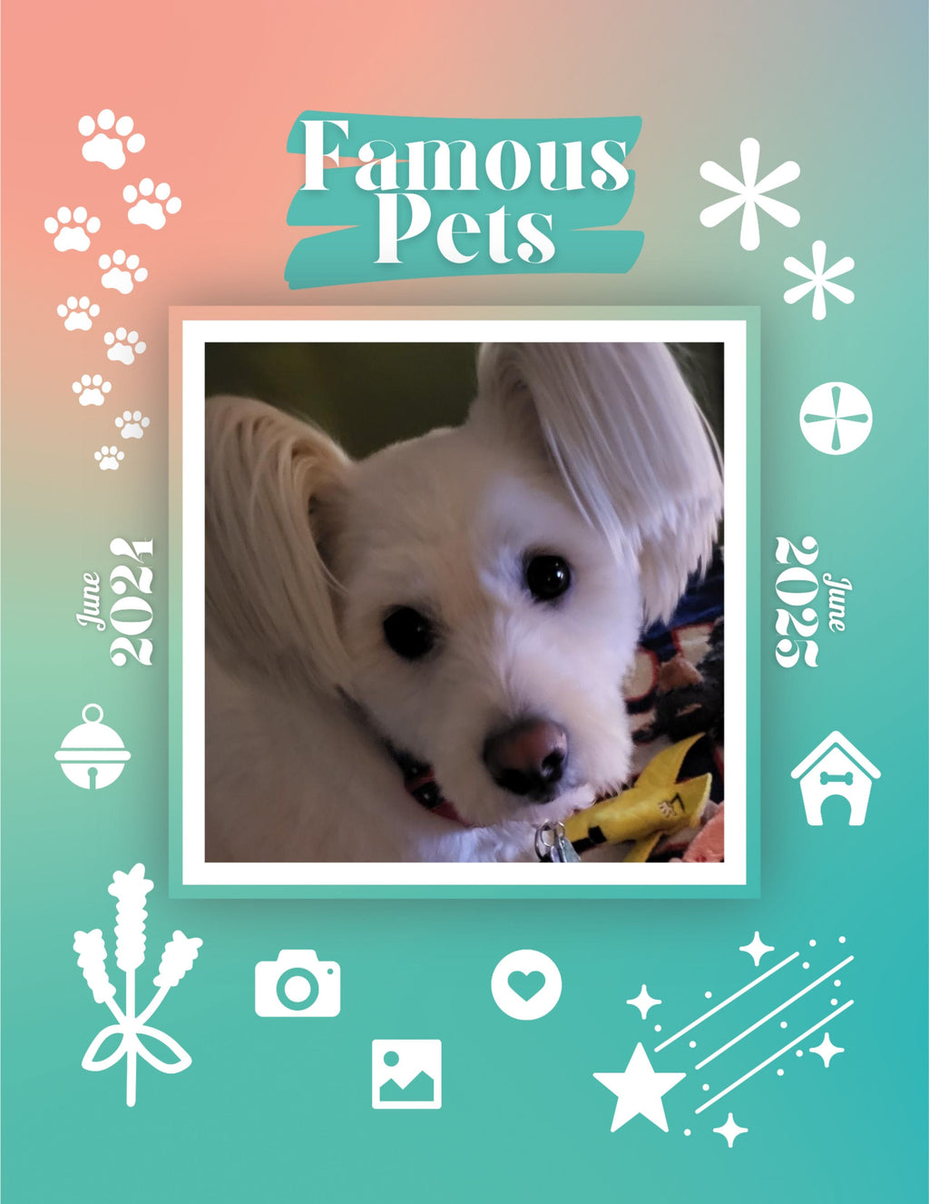 Famous Pets: June 2024-June 2025 Wall Calendar (Pre-Order)