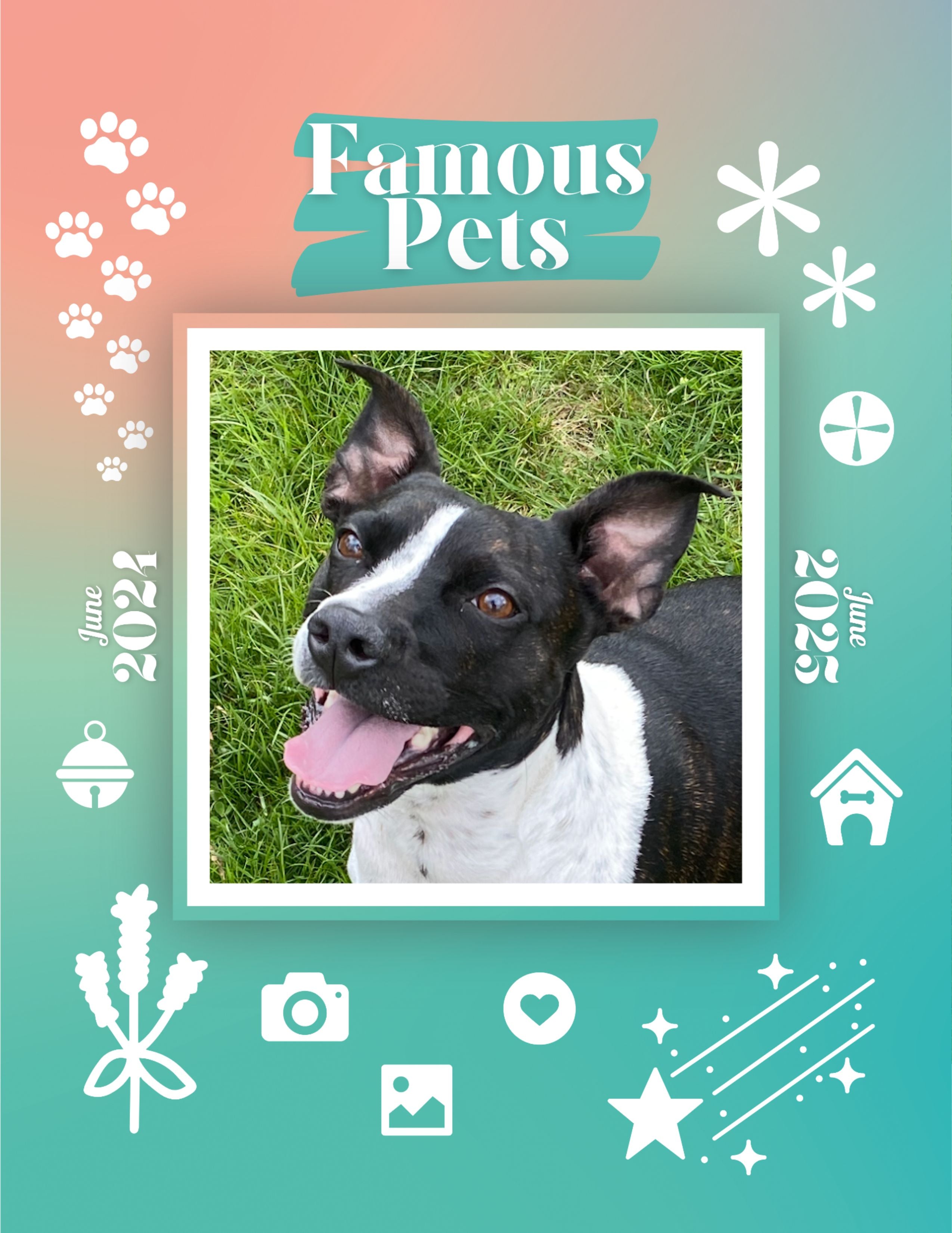 Famous Pets: June 2024-June 2025 Wall Calendar (Pre-Order)