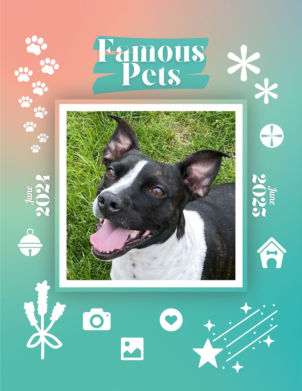 Famous Pets: June 2024-June 2025 Wall Calendar (Pre-Order)