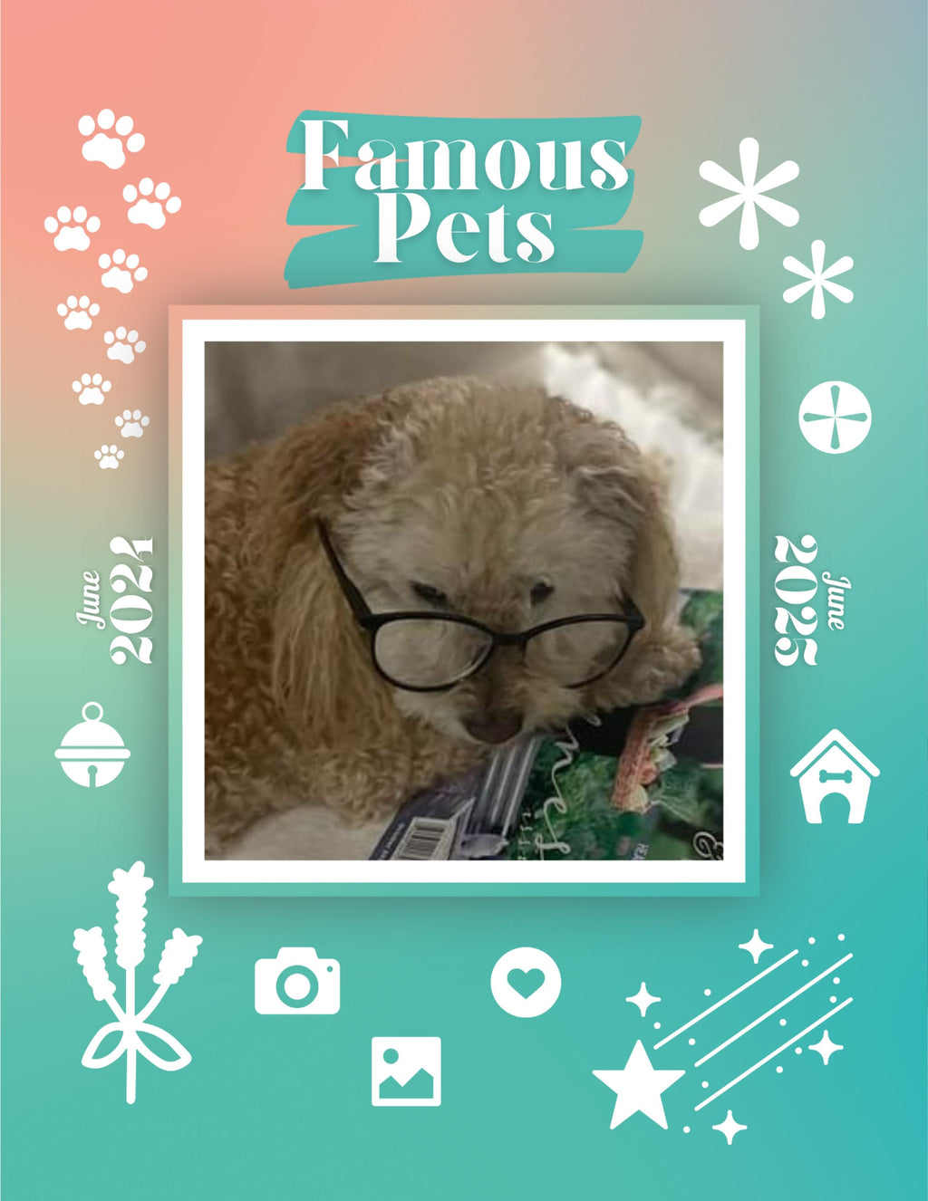 Famous Pets: June 2024-June 2025 Wall Calendar (Pre-Order)