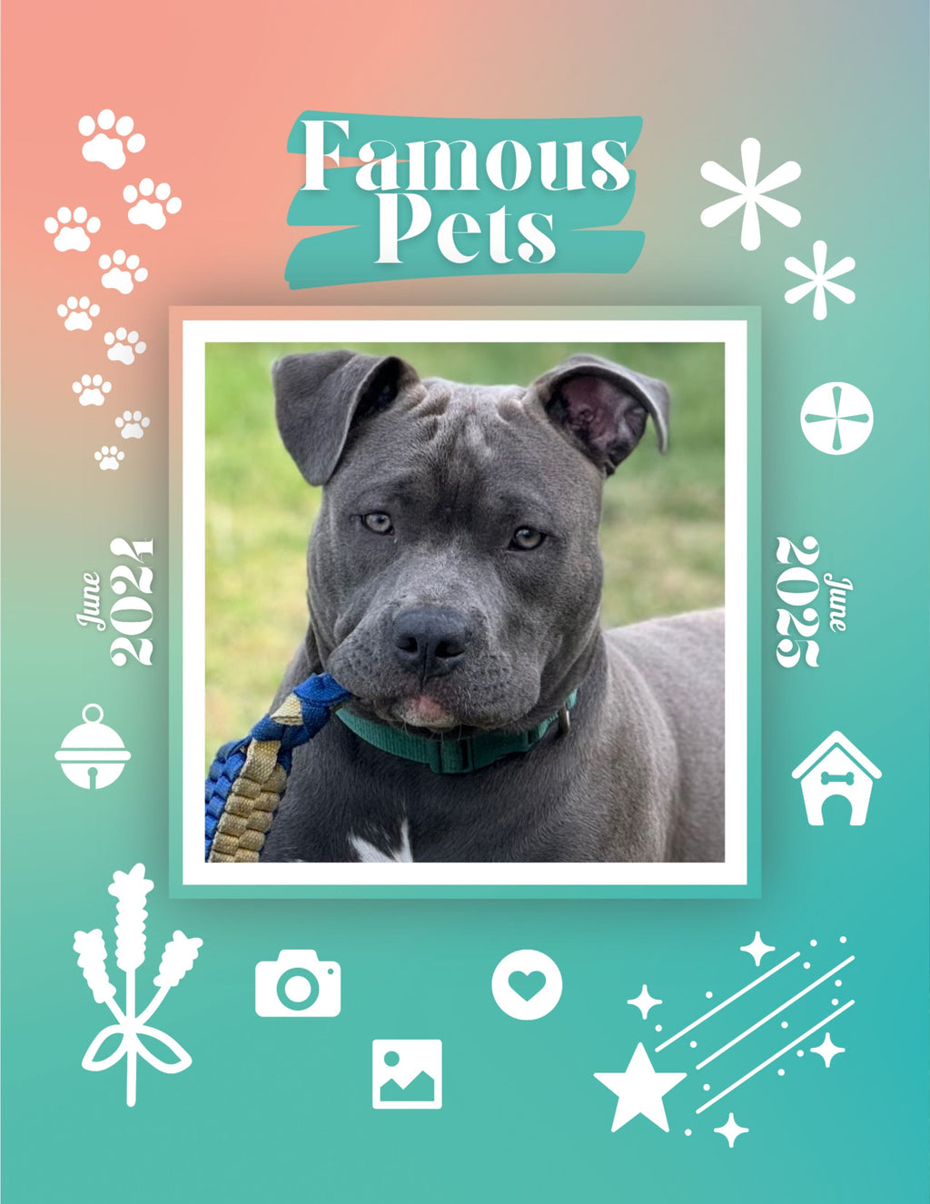 Famous Pets: June 2024-June 2025 Wall Calendar (Pre-Order)