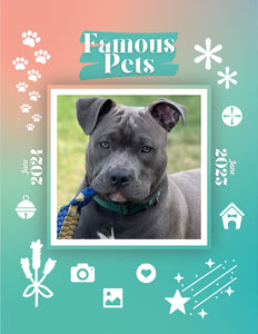 Famous Pets: June 2024-June 2025 Wall Calendar (Pre-Order)