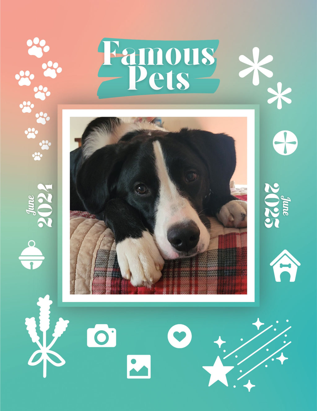 Famous Pets: June 2024-June 2025 Wall Calendar (Pre-Order)
