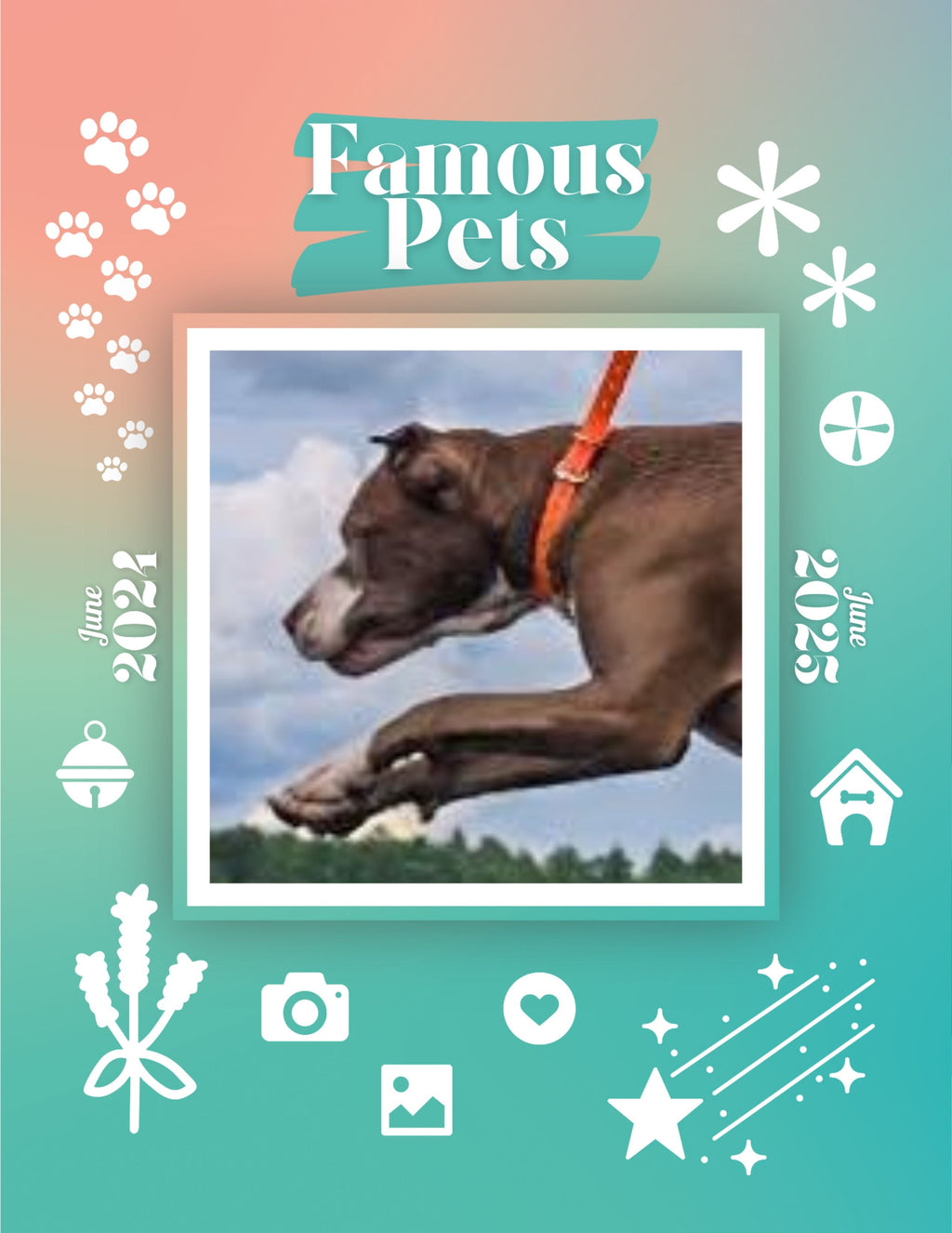 Famous Pets: June 2024-June 2025 Wall Calendar (Pre-Order)