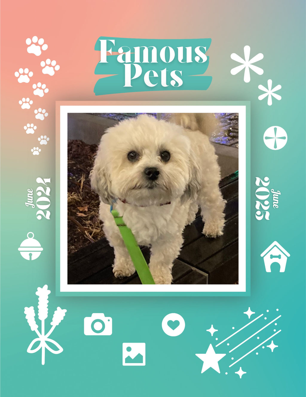 Famous Pets: June 2024-June 2025 Wall Calendar (Pre-Order)