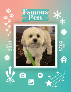 Famous Pets: June 2024-June 2025 Wall Calendar (Pre-Order)