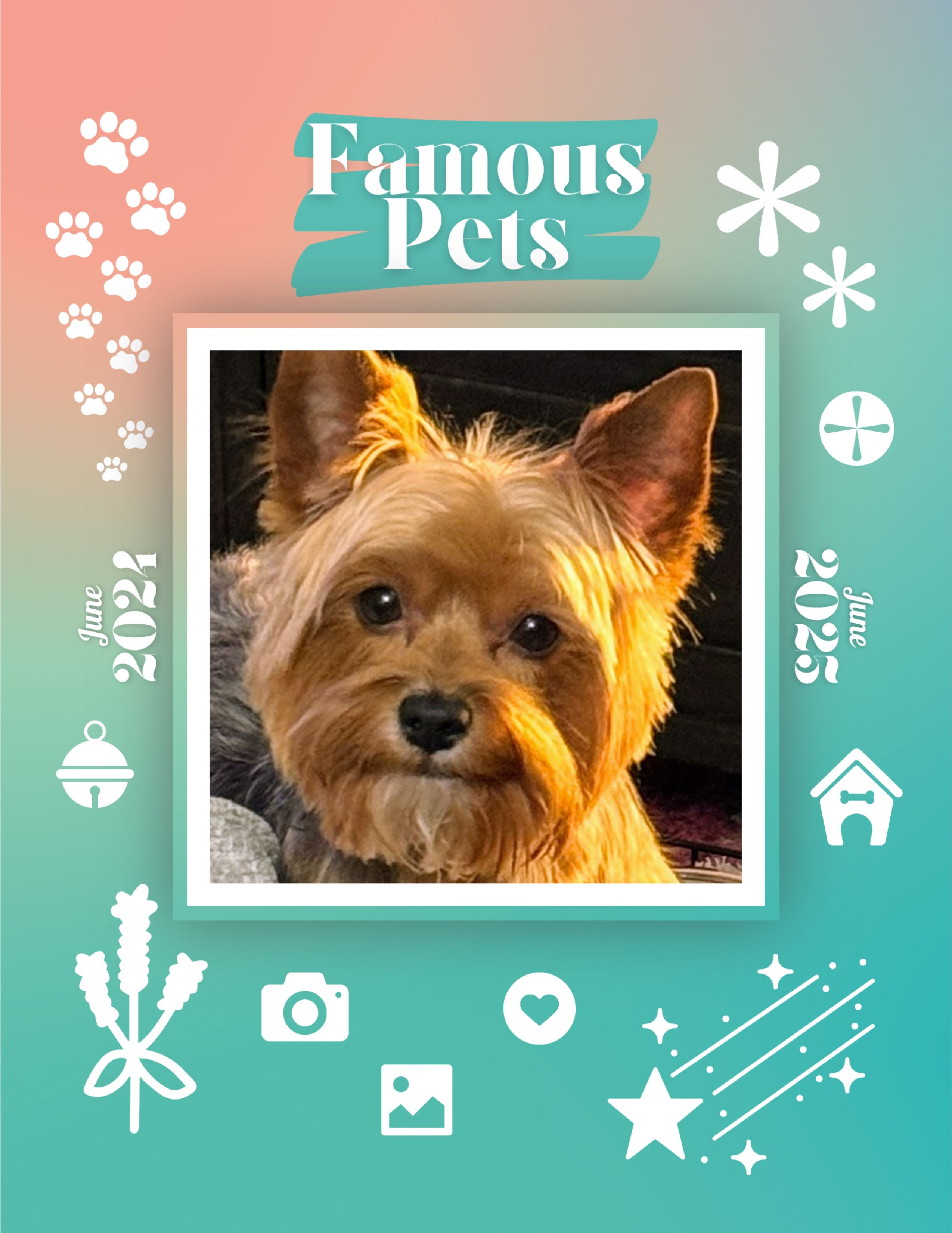 Famous Pets: June 2024-June 2025 Wall Calendar (Pre-Order)