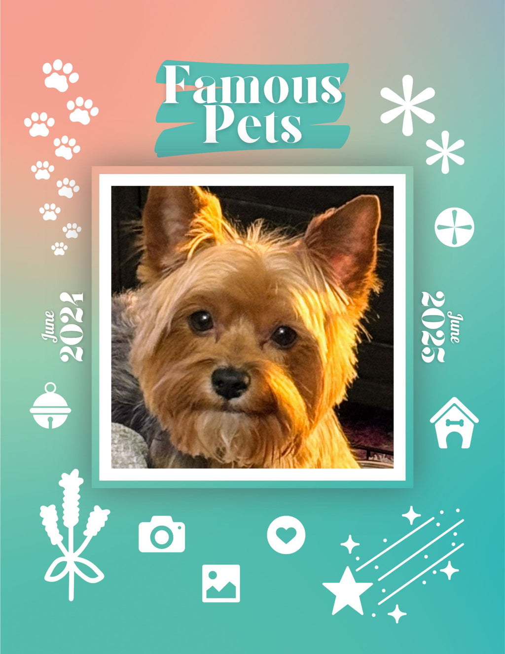 Famous Pets: June 2024-June 2025 Wall Calendar (Pre-Order)