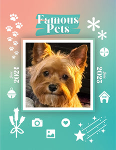 Famous Pets: June 2024-June 2025 Wall Calendar (Pre-Order)