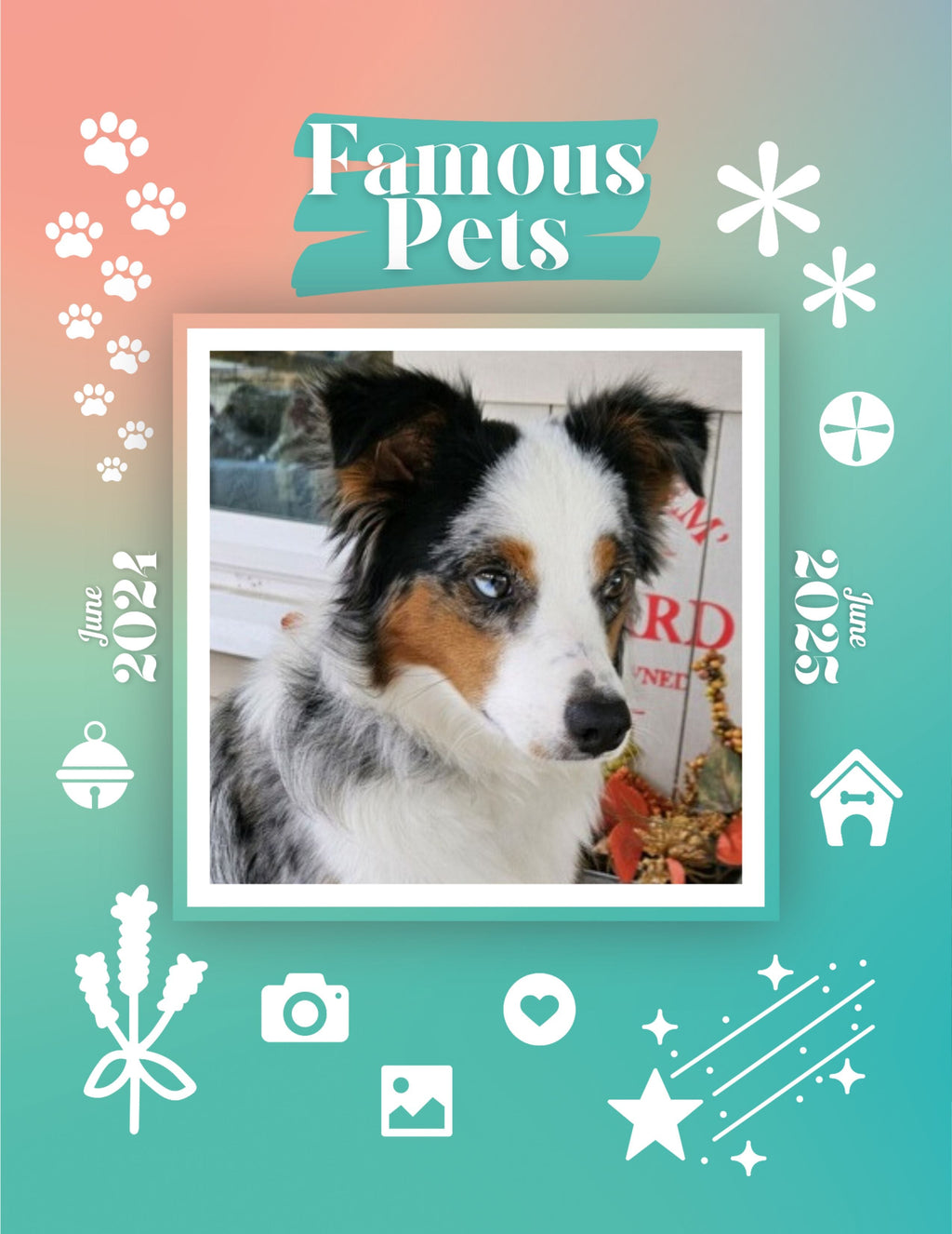 Famous Pets: June 2024-June 2025 Wall Calendar (Pre-Order)