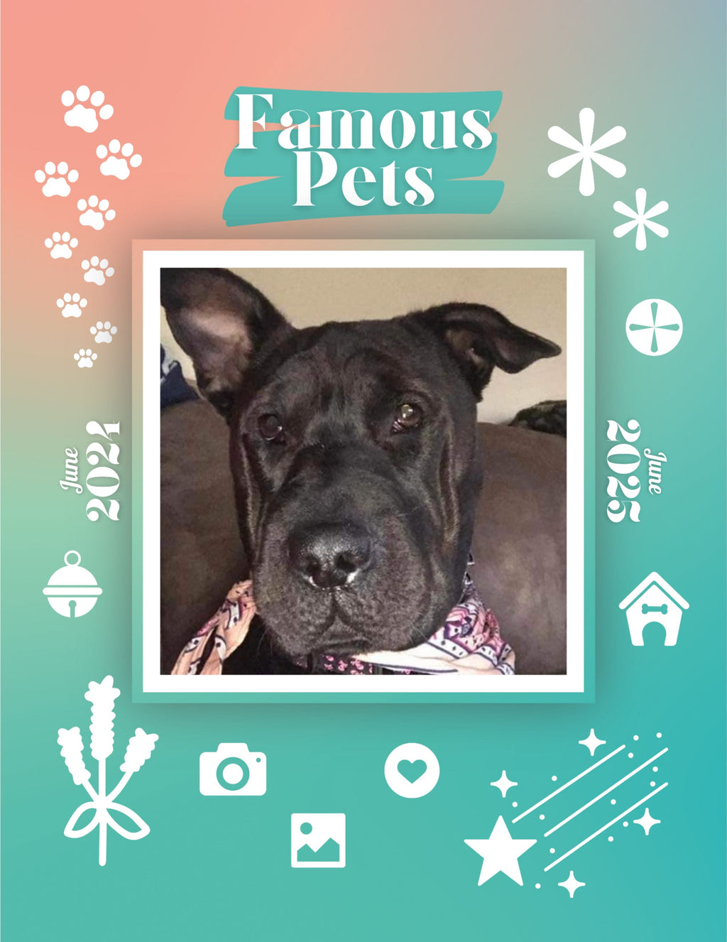 Famous Pets: June 2024-June 2025 Wall Calendar (Pre-Order)