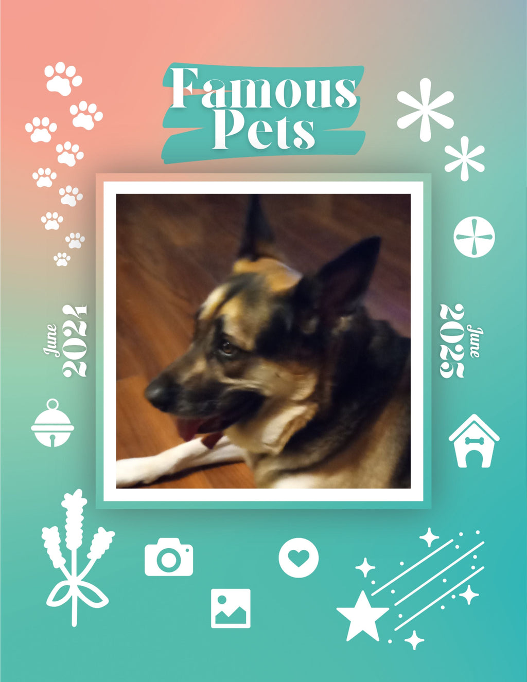 Famous Pets: June 2024-June 2025 Wall Calendar (Pre-Order)