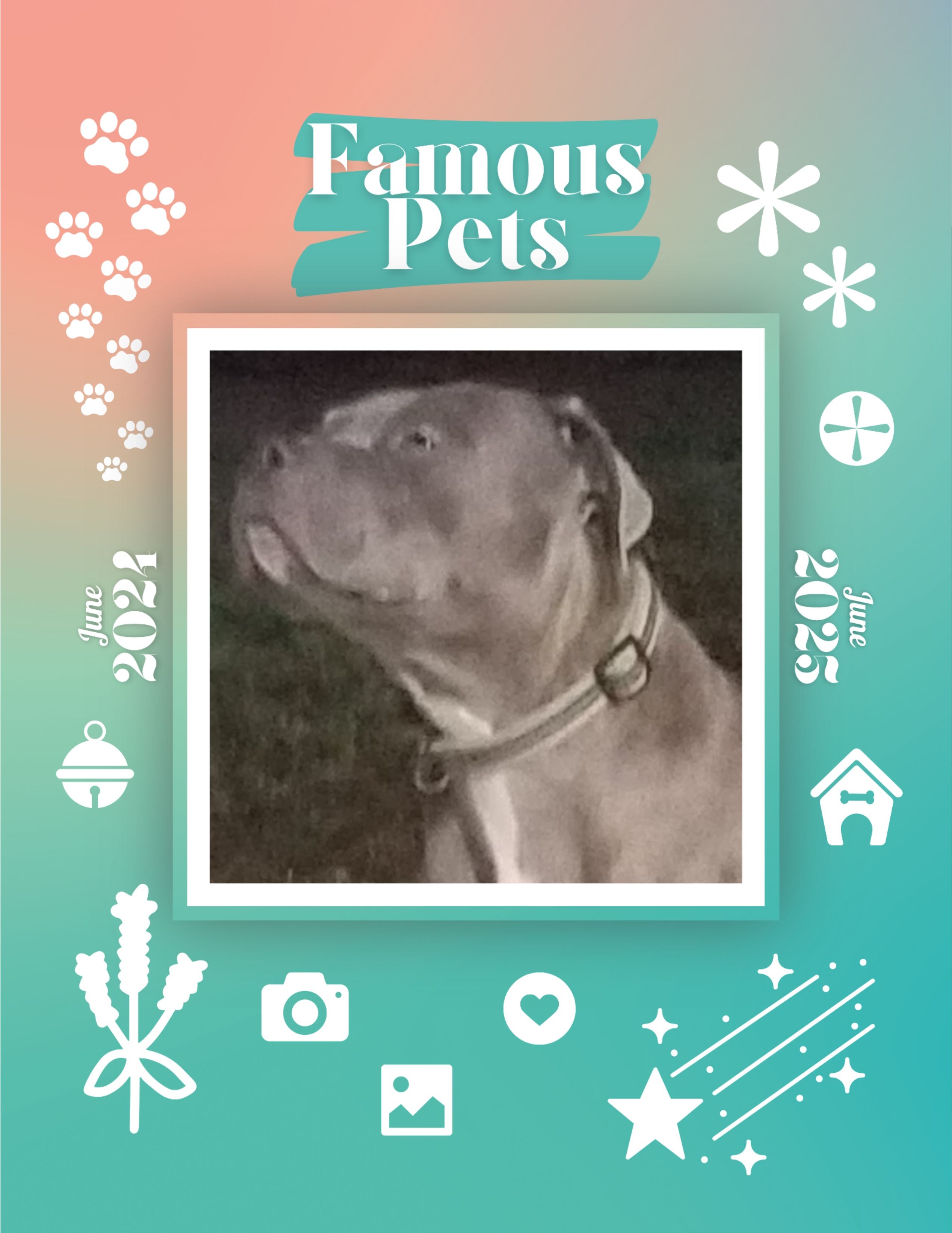 Famous Pets: June 2024-June 2025 Wall Calendar (Pre-Order)