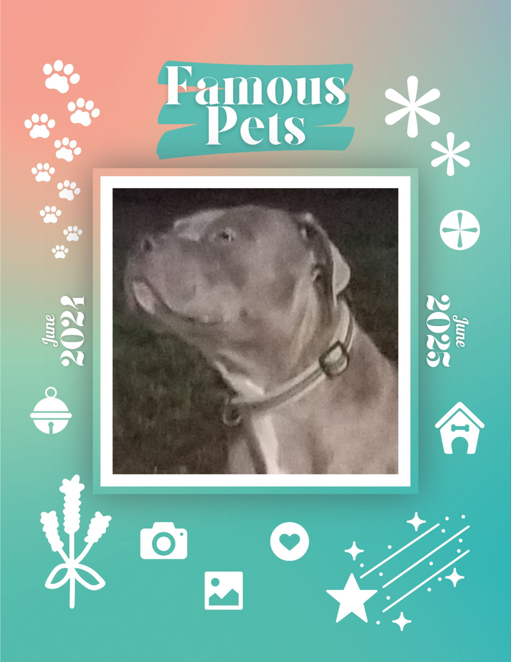 Famous Pets: June 2024-June 2025 Wall Calendar (Pre-Order)
