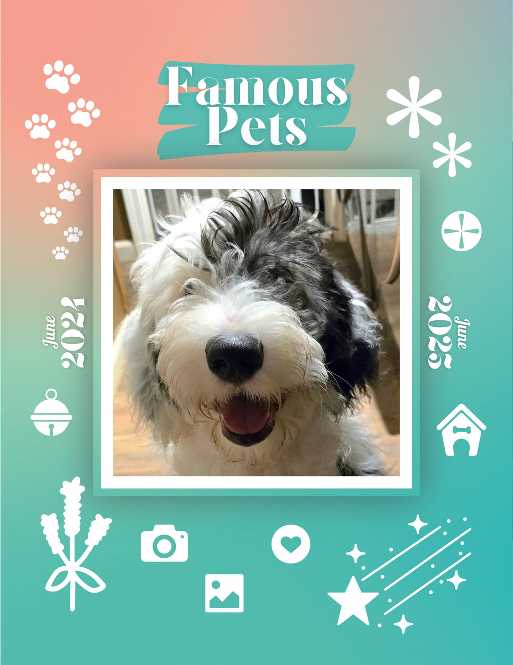 Famous Pets: June 2024-June 2025 Wall Calendar (Pre-Order)
