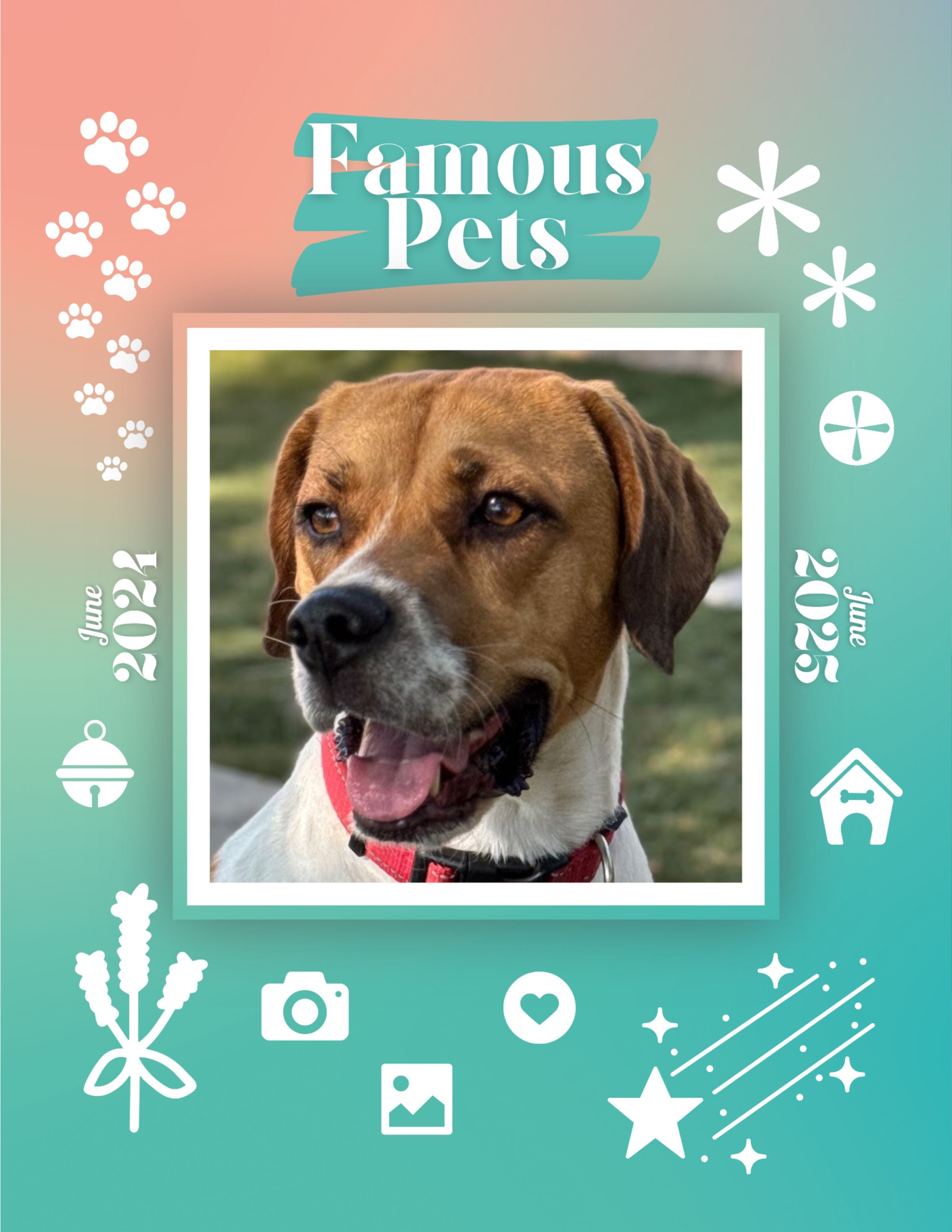 Famous Pets: June 2024-June 2025 Wall Calendar (Pre-Order)