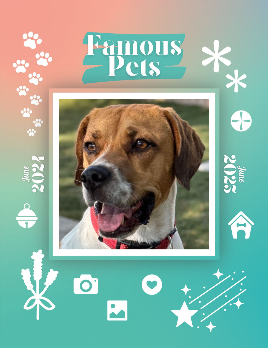 Famous Pets: June 2024-June 2025 Wall Calendar (Pre-Order)