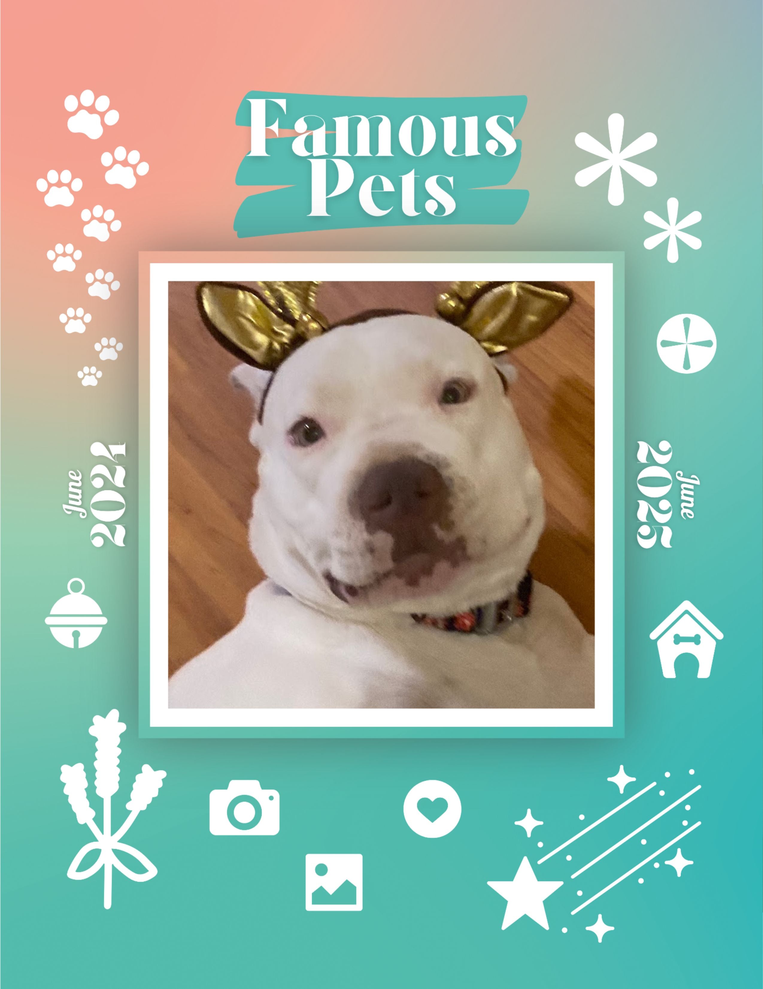 Famous Pets: June 2024-June 2025 Wall Calendar (Pre-Order)