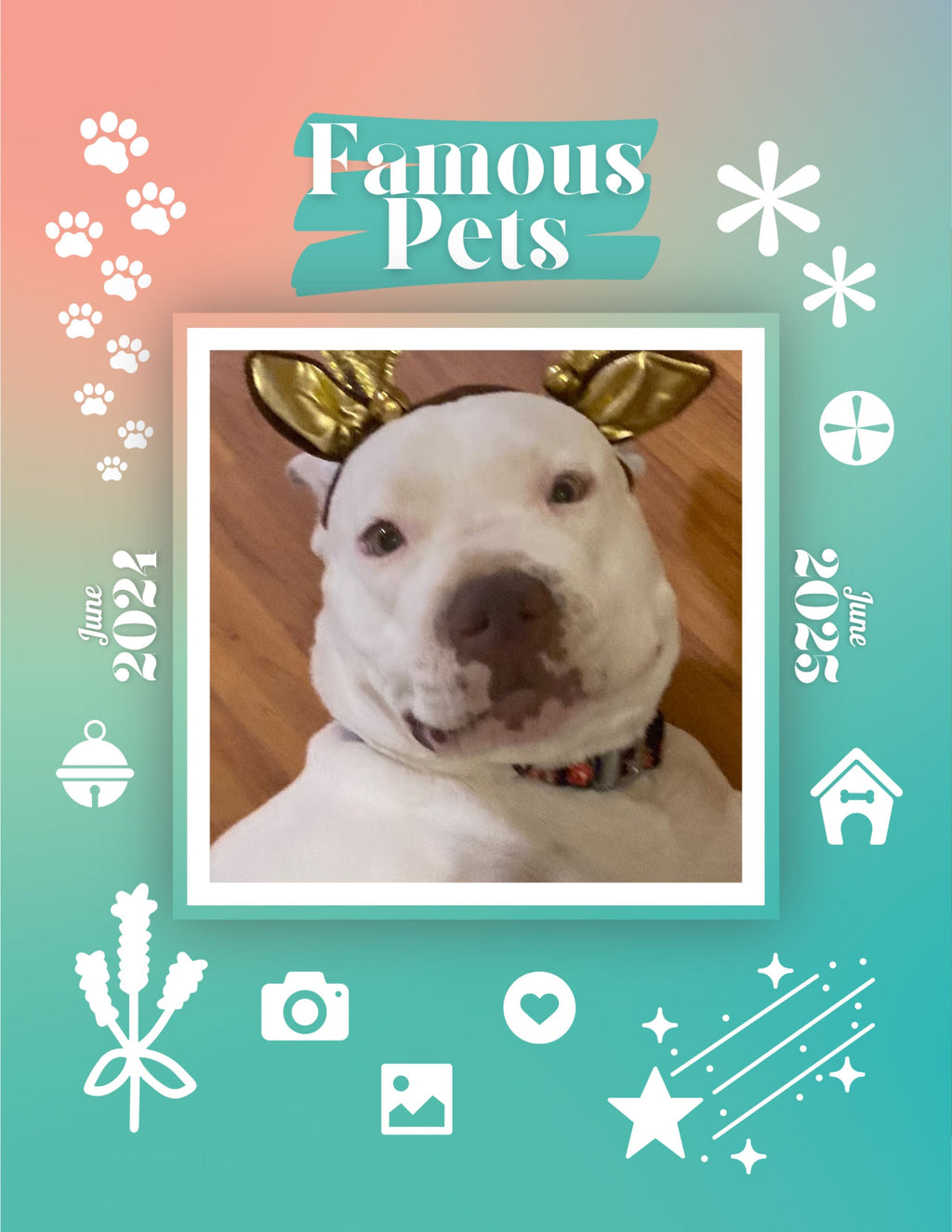 Famous Pets: June 2024-June 2025 Wall Calendar (Pre-Order)