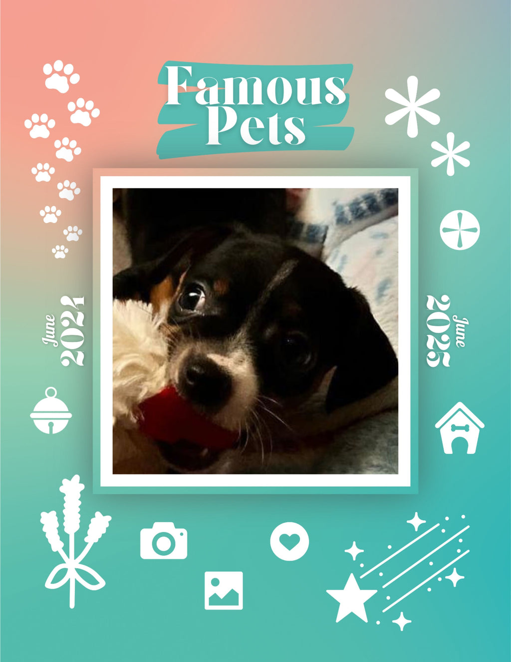 Famous Pets: June 2024-June 2025 Wall Calendar (Pre-Order)